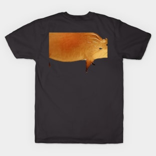 Capybara T-Shirt